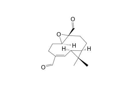 VOLVALERENAL_B