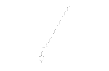 (E)-OCTADECYL-PARA-COUMARATE