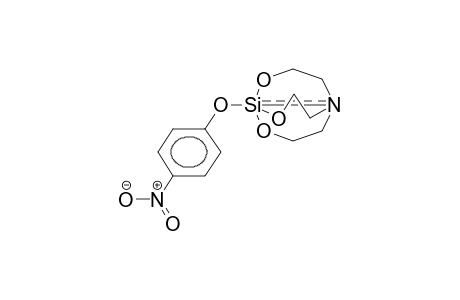 1-(4-NITROPHENOXY)SILATHRANE