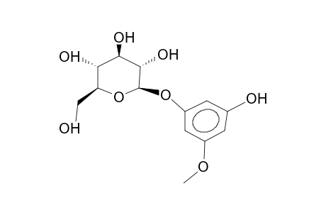 PICRAQUASSIOSIDE-D;PHLOROGLUCINOL-BETA-D-GLUCOPYRANOSIDE;METHYLPHLORIN