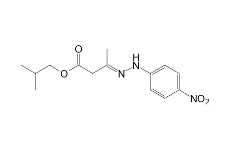 acetoacetic acid, isobutyl ester, p-nitrophenylhydrazone