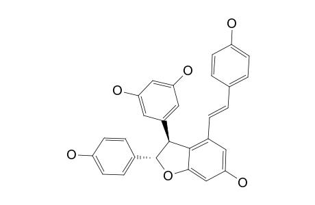 (+)-EPSILON-VINIFERIN