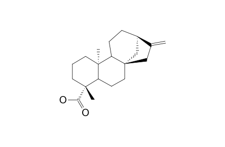 NIKHGUQULKYIGE-YOSWYUEISA-N