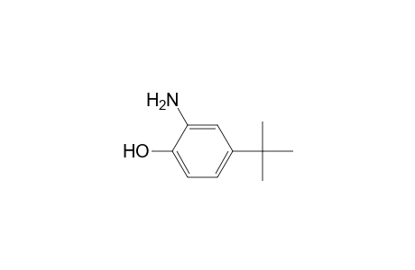 2-Amino-4-tert-butylphenol