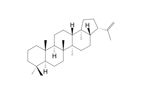 Hop-22(29)-ene