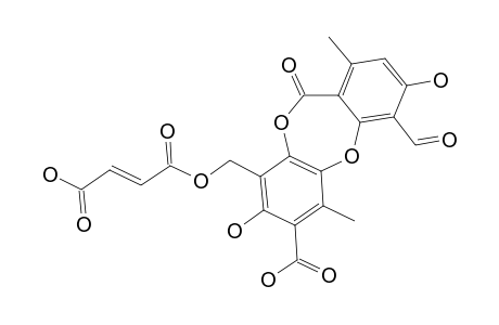 FUMARPROTOCETRARIC_ACID