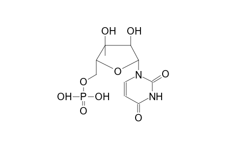 1-(3'-C-METHYL-BETA-D-RIBOFURANOSYL)URACIL-5'-PHOSPHATE