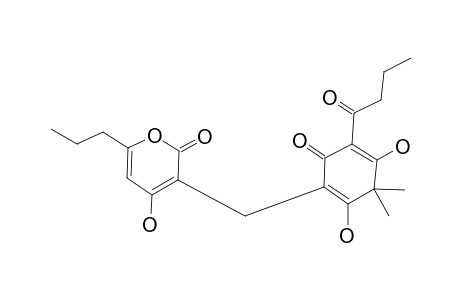 Phloropyron bb