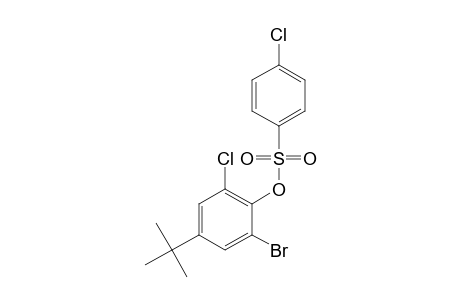 2-bromo-4-tert-butyl-6-chlorophenyl , p-chlorobenzenesulfonate