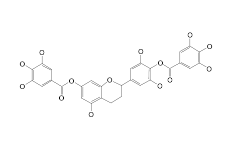 7,4'-DI-7-O-GALLATETRICETIFLAVAN