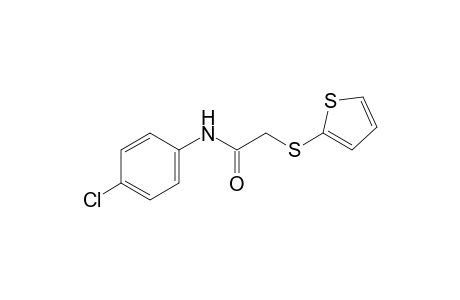 4'-chloro-2-[(2-thienyl)thio]acetanilide