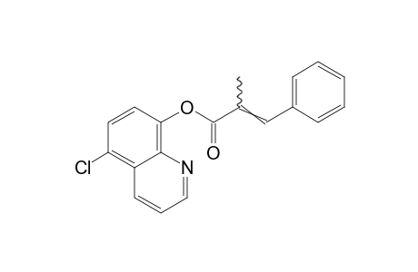 5-chloro-8-quinolinol, alpha-methylcinnamate (ester)