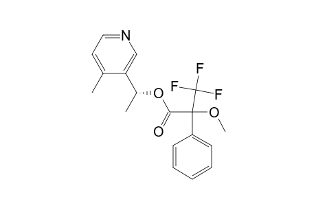 (1'S)-3-[1'-O-(S-MTPA)-ETHYL]-4-METHYLPYRIDINE;(1'S,R)