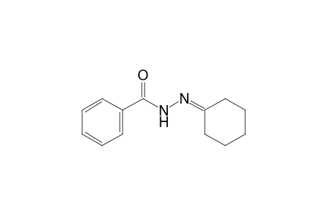 benzoic acid, cyclohexylidenehydrazide