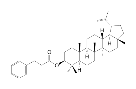 LUPEOL-BETA-PHENYLPROPIONATE