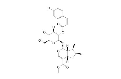 2'-O-CIS-COUMAROYL-LOGANIN