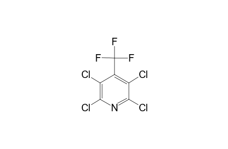 4-TRIFLUOROMETHYL-2,3,5,6-TETRACHLOROPYRIDINE