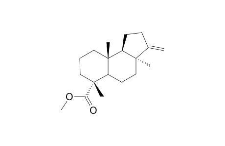 METHYL-12-(13->14)-ABEO-8-ALPHA-METHYL-PODOCARP-13-EN-18-OATE;COMMPOUND-#46