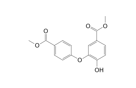 Aristogin D