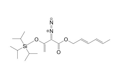 (E,E)-Hexa-2,4-dienyl 2-Diazo-3-[tri(isopropyl)silanyloxy]but-3-enoate