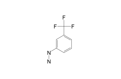 3-(Trifluoromethyl)phenylhydrazine