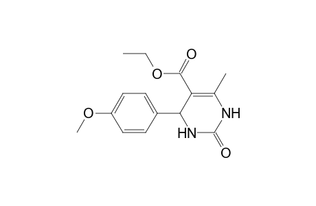 2-Keto-4-(4-methoxyphenyl)-6-methyl-3,4-dihydro-1H-pyrimidine-5-carboxylic acid ethyl ester