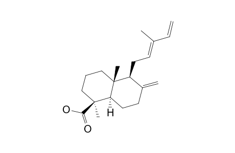 (E)-COMMUNIC-ACID