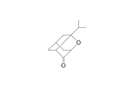 1-Isopropyl-2-oxa-adamantanone