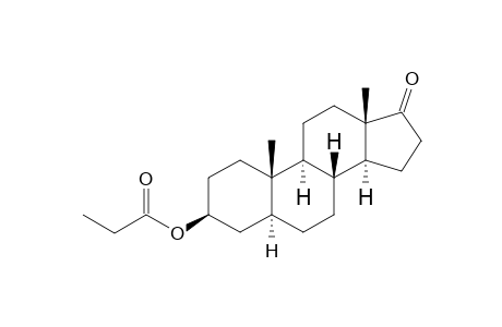 Epiandrosterone propionate