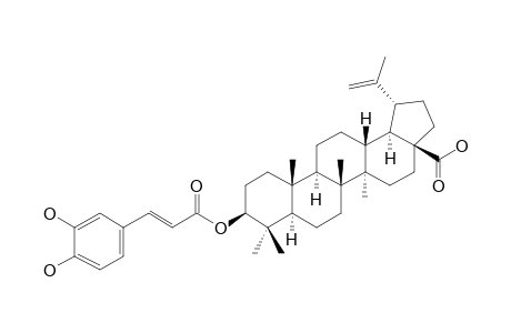 BETULINIC-ACID-3-BETA-CAFFEATE