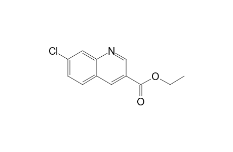 Ethyl 7-chloroquinoline-3-carboxylate