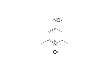 4-nitro-2,6-lutidine, 1-oxide