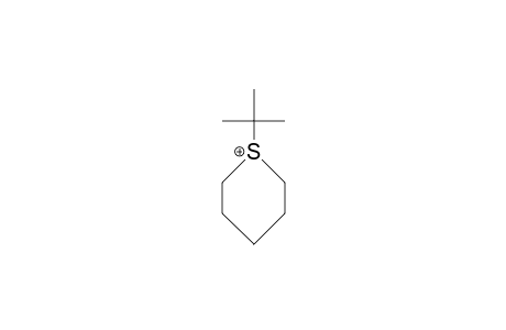 1-tert-Butyl-thianium cation