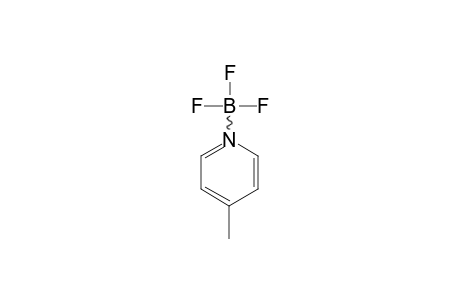 4-METHYLPYRIDINE-TRIFLUOROBORONE