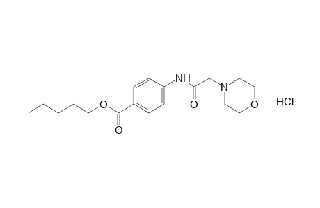 p-(2-morpholinoacetamido)benzoic acid, pentyl ester, hydrochloride