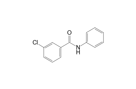 3-chlorobenzanilide