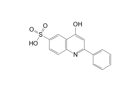 4-hydroxy-2-phenyl-6-quinolinesulfonic acid