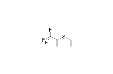 2-TRIFLUOROMETHYLTHIOPHENE