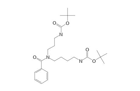 TERT.-BUTYL-N-{4-{N-BENZOYL-N-{3-[(TERT.-BUTYLOXYCARBONYL)-AMINO]-PROPYL}-AMINO}-BUTYL}-CARBAMATE