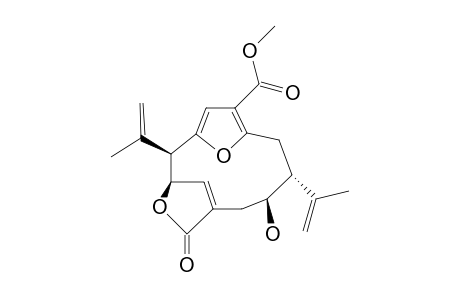 CAHCKWUJYDZSJU-ZSFPCNDZSA-N