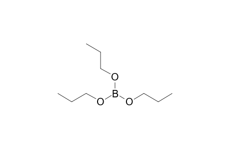 Boric acid tripropyl ester