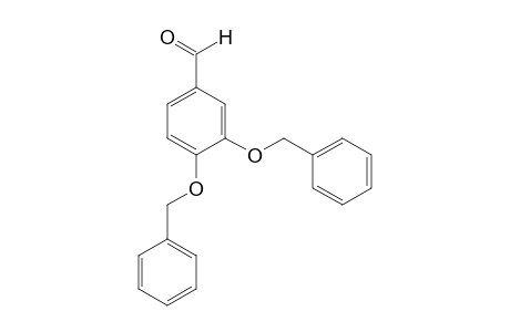 3,4-Dibenzyloxybenzaldehyde