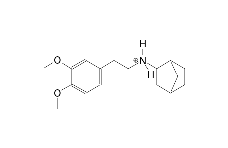 N-[2-(3,4-dimethoxyphenyl)ethyl]bicyclo[2.2.1]heptan-2-aminium