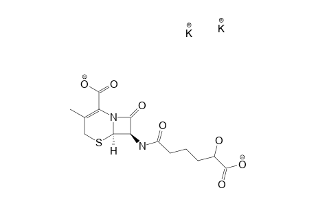 16-HYDROXYADIPOSYL-7-ADCA