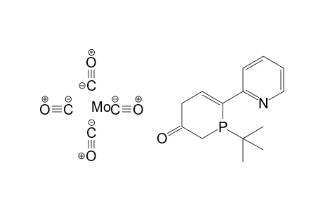 Tetracarbonyl-[1-(t-butyl)-2-(2'-pyridyl)-5-oxo-1-phosphacyclohex-2-ene]-molybdenium