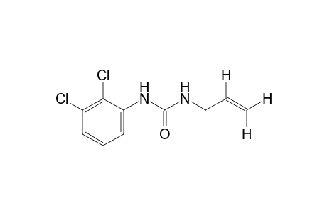 1-allyl-3-(2,3-dichlorophenyl)urea