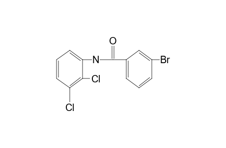 3-bromo-2',3'-dichlorobenzanilide