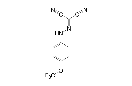 FCCP