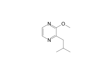 2-Isobutyl-3-methoxy-pyrazine