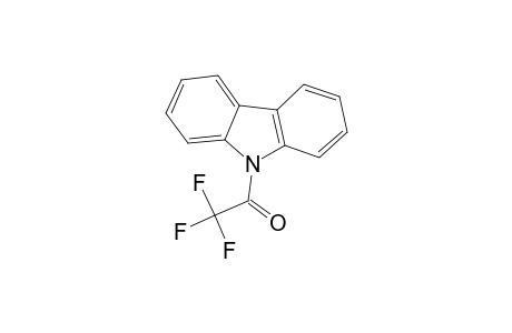 N-TRIFLUOROMETHANCARBONYL-CARBAZOLE